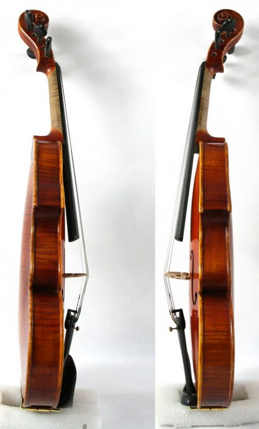 Strings Violin BAROQUE The Testore #0523 Maestro  